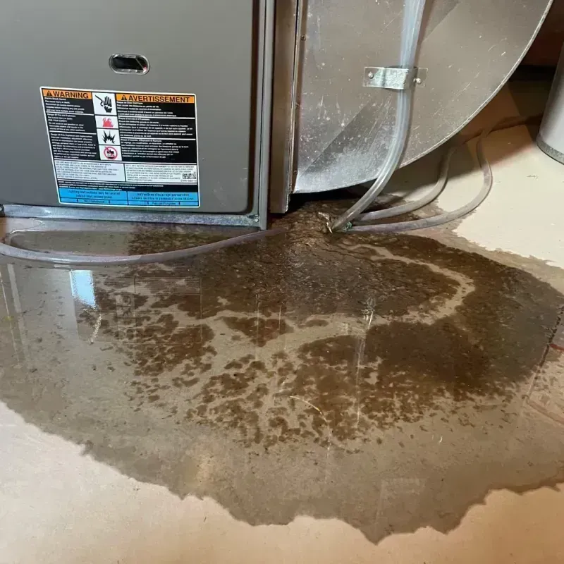 Appliance Leak Cleanup in White Marsh, MD